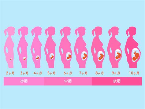 臨月 性欲|妊娠初期の性欲は？ムラムラが強くなる理由